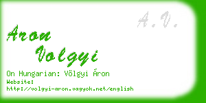 aron volgyi business card