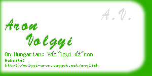 aron volgyi business card